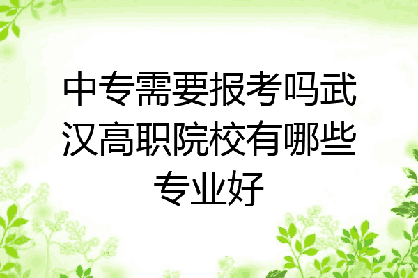 中专需要报考吗武汉高职院校有哪些专业好