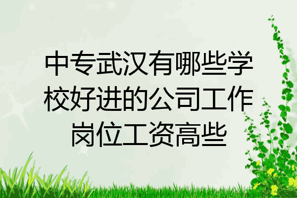 中专武汉有哪些学校好进的公司工作岗位工资高些