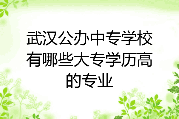 武汉公办中专学校有哪些大专学历高的专业