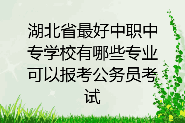 湖北省最好中职中专学校有哪些专业可以报考公务员考试