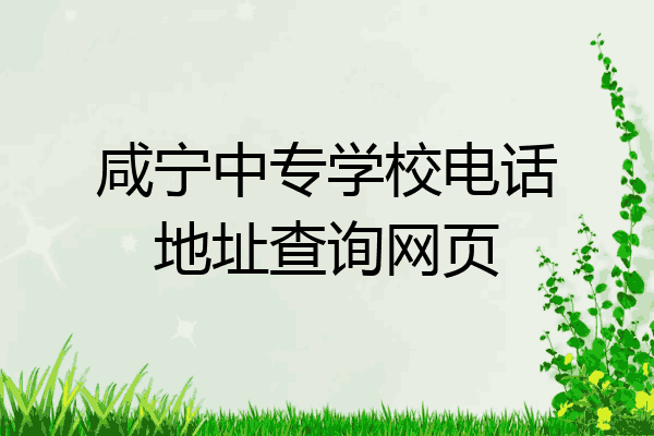 咸宁中专学校电话地址查询网页