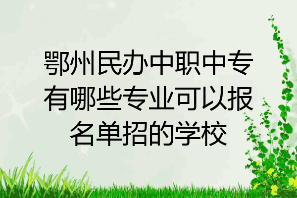 鄂州民办中职中专有哪些专业可以报名单招的学校