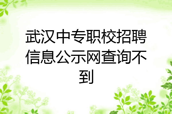 武汉中专职校招聘信息公示网查询不到
