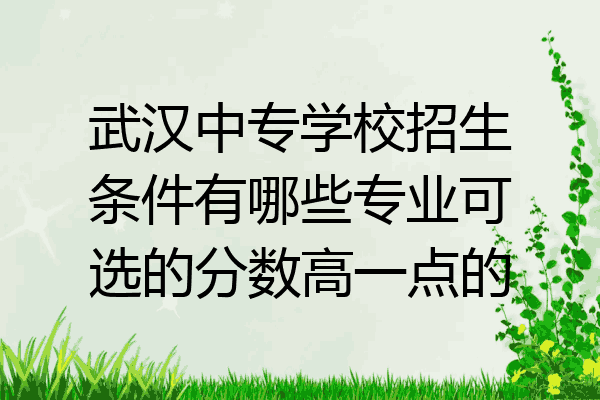 武汉中专学校招生条件有哪些专业可选的分数高一点的