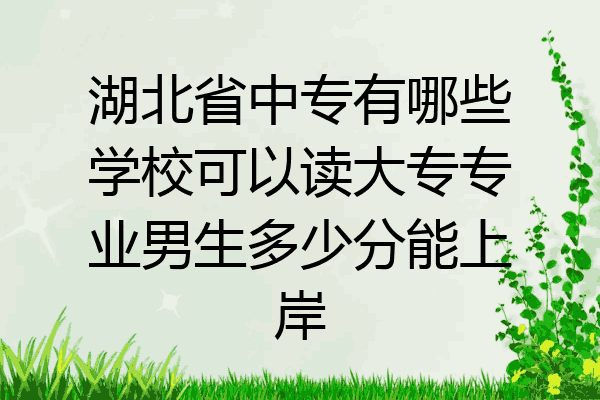 湖北省中专有哪些学校可以读大专专业男生多少分能上岸