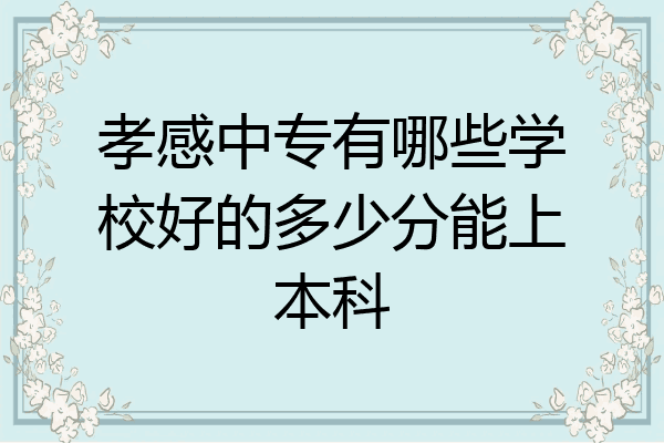 孝感中专有哪些学校好的多少分能上本科