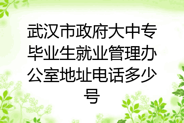 武汉市政府大中专毕业生就业管理办公室地址电话多少号