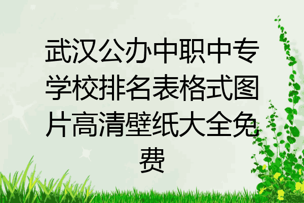 武汉公办中职中专学校排名表格式图片高清壁纸大全免费
