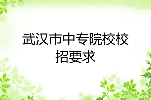武汉市中专院校校招要求