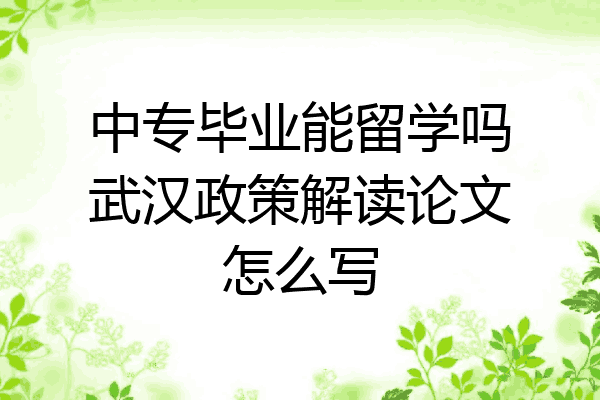 中专毕业能留学吗武汉政策解读论文怎么写