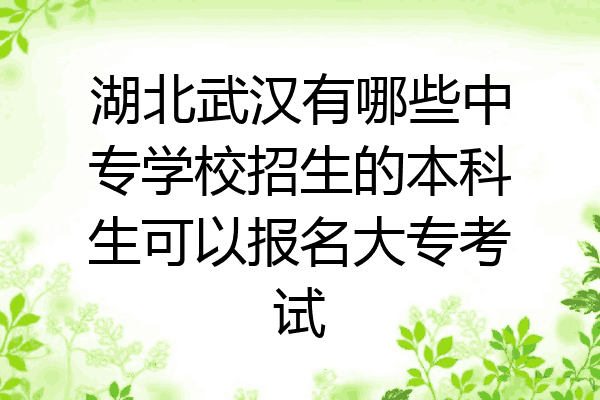 湖北武汉有哪些中专学校招生的本科生可以报名大专考试