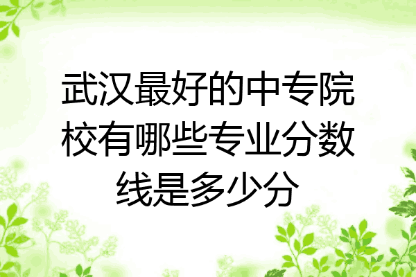 武汉最好的中专院校有哪些专业分数线是多少分