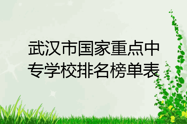 武汉市国家重点中专学校排名榜单表