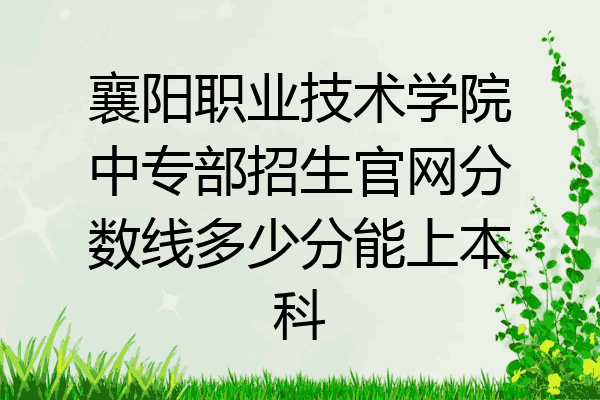 襄阳职业技术学院中专部招生官网分数线多少分能上本科