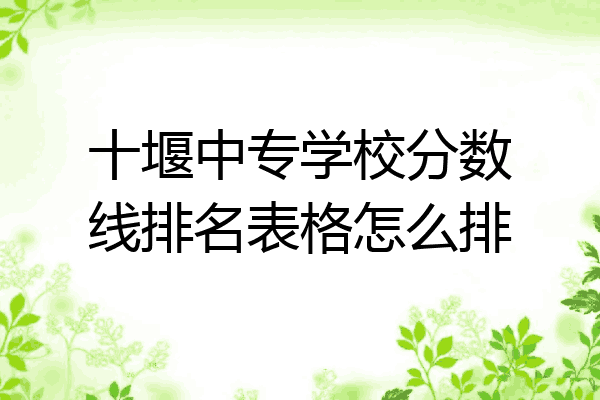 十堰中专学校分数线排名表格怎么排