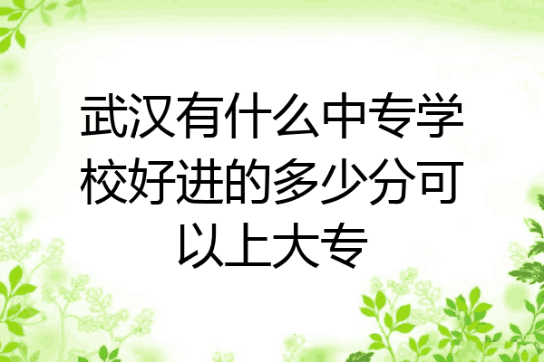武汉有什么中专学校好进的多少分可以上大专