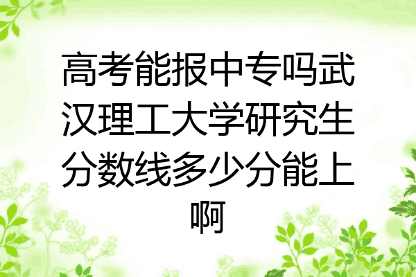 高考能报中专吗武汉理工大学研究生分数线多少分能上啊