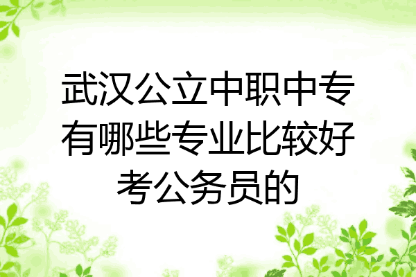 武汉公立中职中专有哪些专业比较好考公务员的