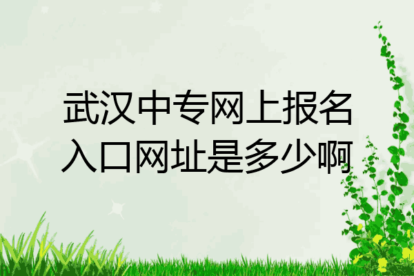 武汉中专网上报名入口网址是多少啊