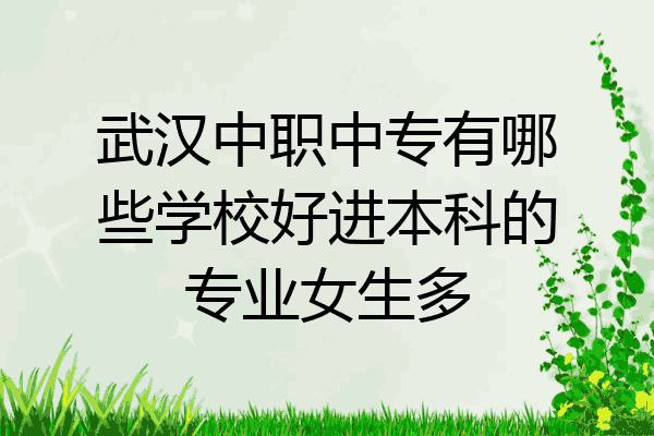 武汉中职中专有哪些学校好进本科的专业女生多