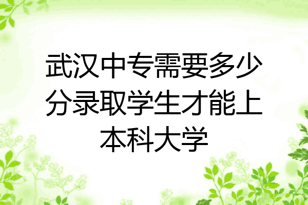 武汉中专需要多少分录取学生才能上本科大学
