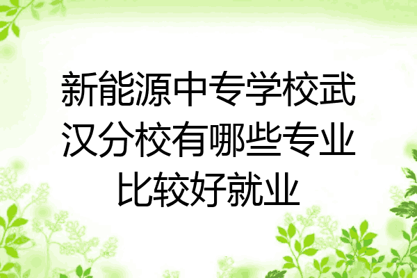 新能源中专学校武汉分校有哪些专业比较好就业