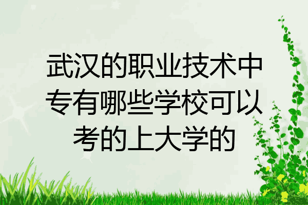武汉的职业技术中专有哪些学校可以考的上大学的