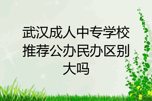 武汉成人中专学校推荐公办民办区别大吗
