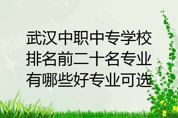 武汉中职中专学校排名前二十名专业有哪些好专业可选