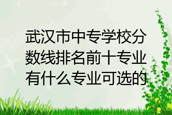 武汉市中专学校分数线排名前十专业有什么专业可选的