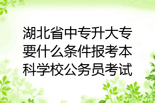 湖北省中专升大专要什么条件报考本科学校公务员考试
