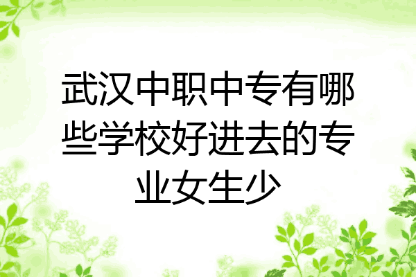 武汉中职中专有哪些学校好进去的专业女生少