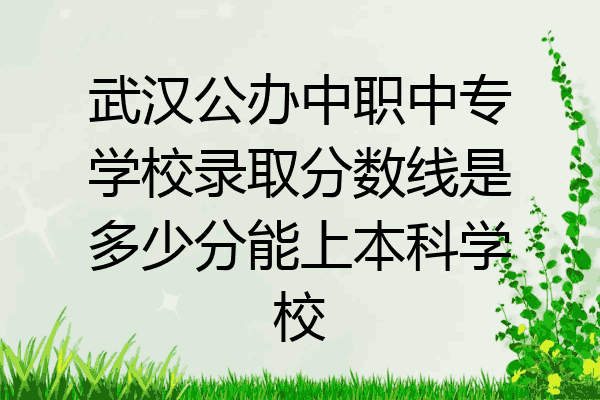 武汉公办中职中专学校录取分数线是多少分能上本科学校
