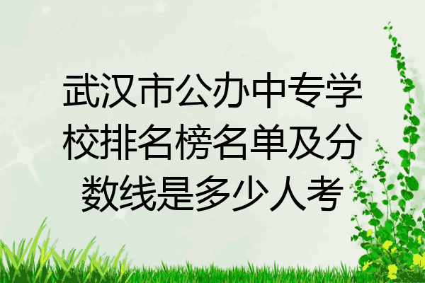武汉市公办中专学校排名榜名单及分数线是多少人考