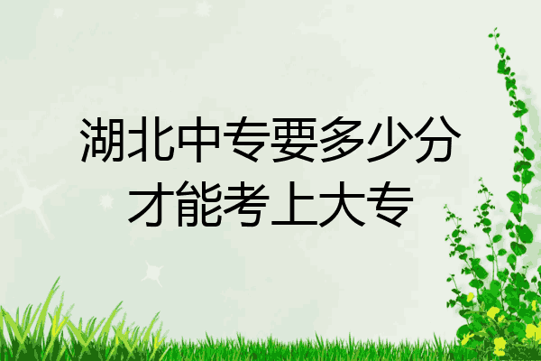 湖北中专要多少分才能考上大专