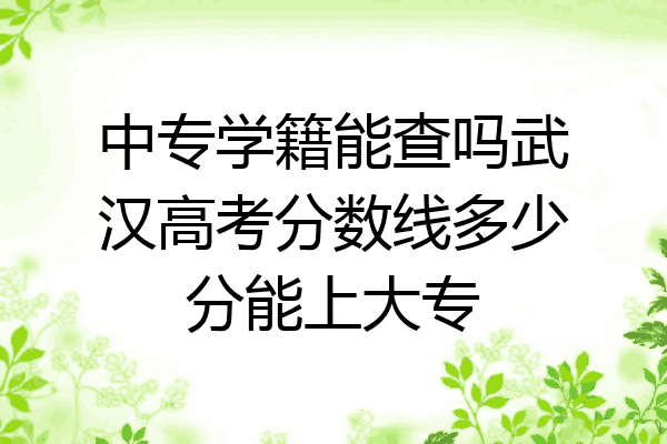 中专学籍能查吗武汉高考分数线多少分能上大专