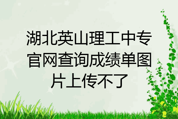 湖北英山理工中专官网查询成绩单图片上传不了
