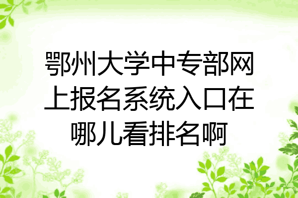 鄂州大学中专部网上报名系统入口在哪儿看排名啊