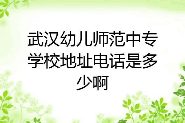 武汉幼儿师范中专学校地址电话是多少啊
