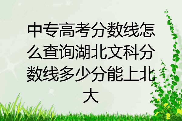 中专高考分数线怎么查询湖北文科分数线多少分能上北大