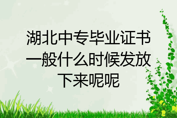 湖北中专毕业证书一般什么时候发放下来呢呢