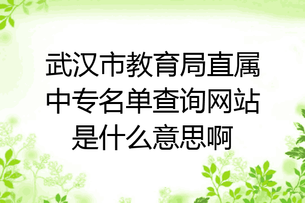 武汉市教育局直属中专名单查询网站是什么意思啊