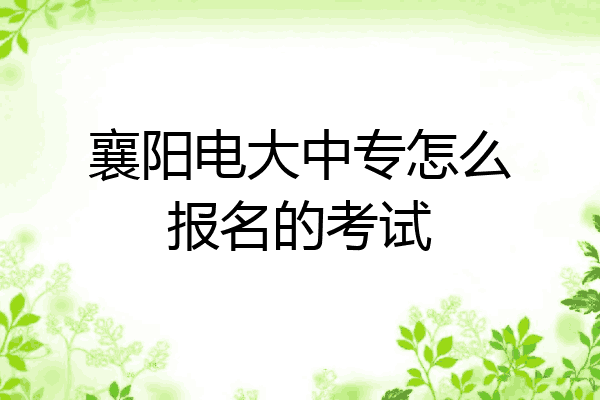 襄阳电大中专怎么报名的考试