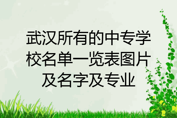 武汉所有的中专学校名单一览表图片及名字及专业