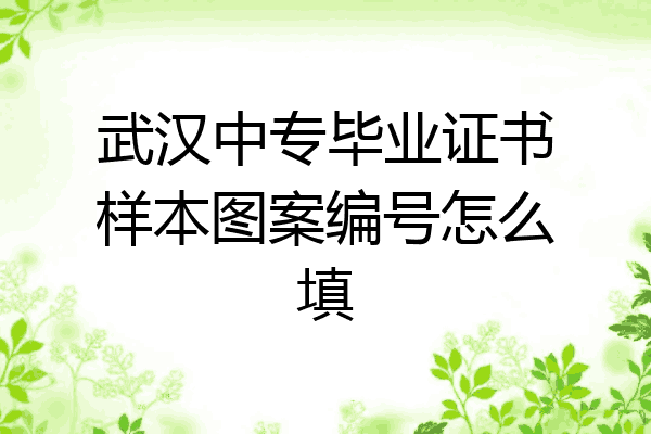 武汉中专毕业证书样本图案编号怎么填