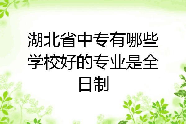 湖北省中专有哪些学校好的专业是全日制
