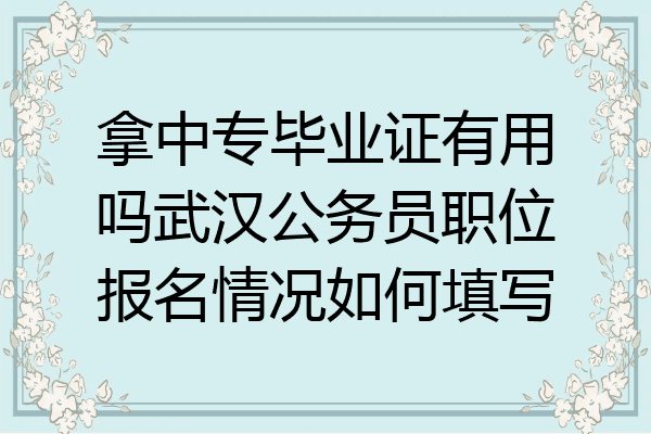 拿中专毕业证有用吗武汉公务员职位报名情况如何填写