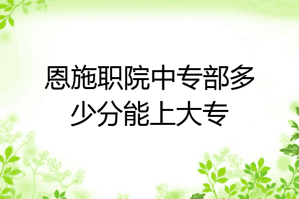 恩施职院中专部多少分能上大专