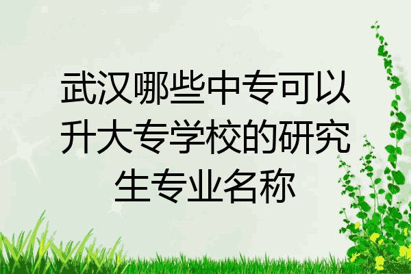 武汉哪些中专可以升大专学校的研究生专业名称