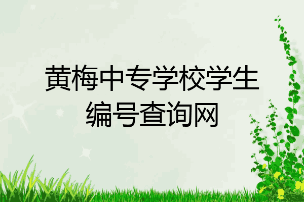 黄梅中专学校学生编号查询网